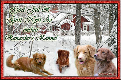 God Jul, Lollo & ke!