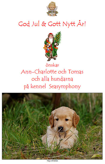 God Jul, Ann-Charlotte!