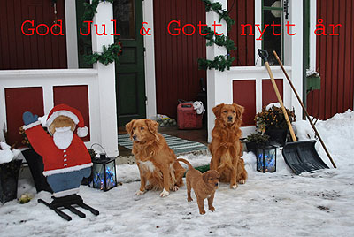 God Jul, Tina & Jrgen!