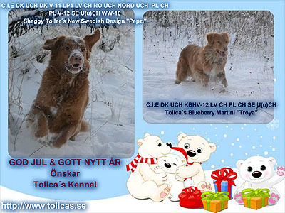 God Jul, Petra!