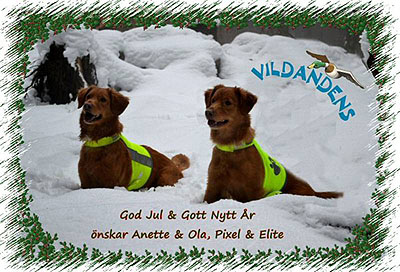 God Jul, Anette & Ola!