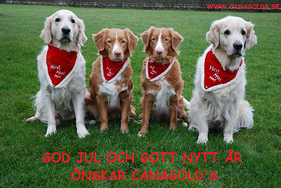 God Jul, Maria & Helen!