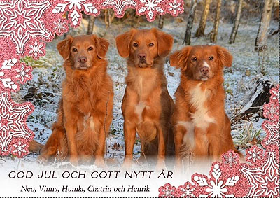 God Jul, Chatrin & Henrik!