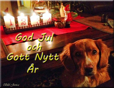 God Jul, Viveca!