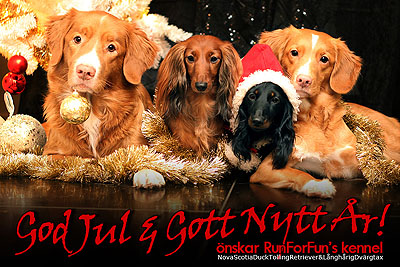 God Jul, Maggan & Jonas!