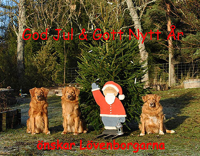 God Jul, Tina & Jrgen!