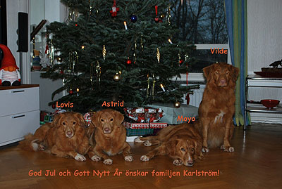 God Jul, Titti!