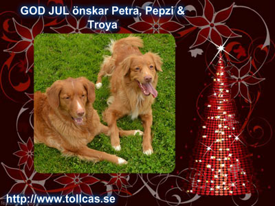 God Jul, Petra!