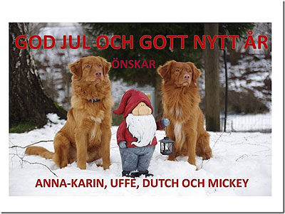 God Jul, Anna-Karin & Uffe!