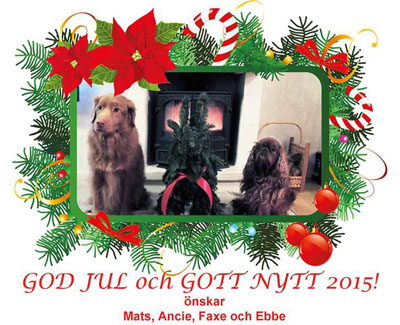 God Jul, Ancie & Mats!