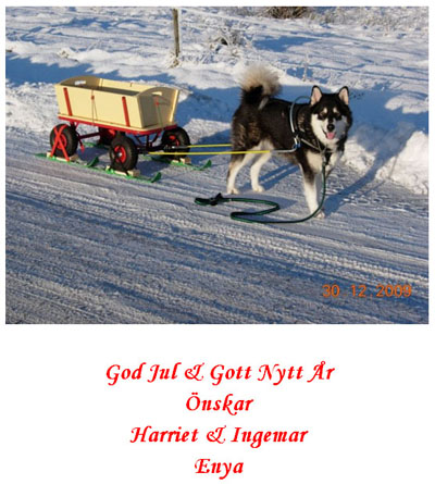 God Jul, Harriet & Ingemar!