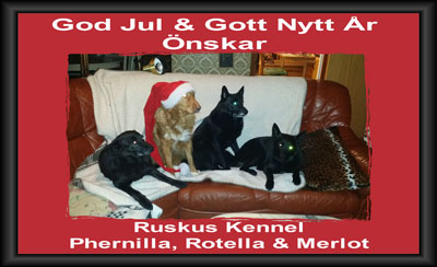 God Jul, Phernilla!