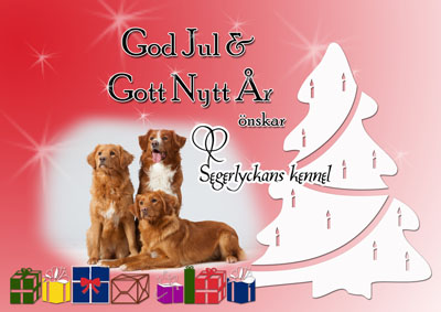 God Jul, Linda & Sven!