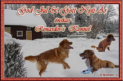 God Jul, Lollo & ke!