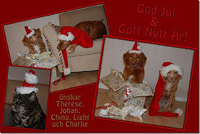 God Jul, Therese & Johan!