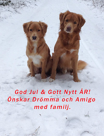 God Jul, Anna!