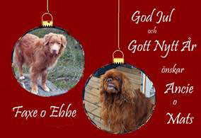 God Jul, Ancie & Mats!