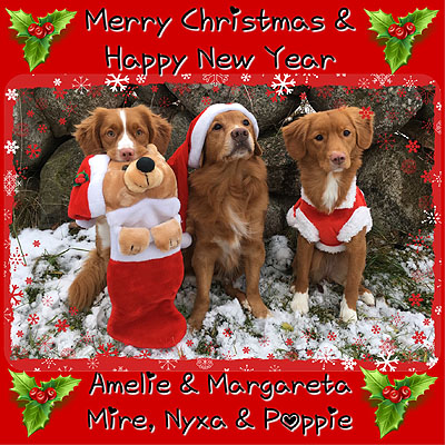 God Jul, Amelie & Margareta!