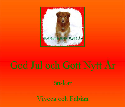 God Jul, Viveca