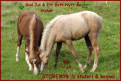 God Jul, Petra