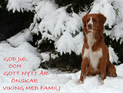 God Jul, Hkan med familj