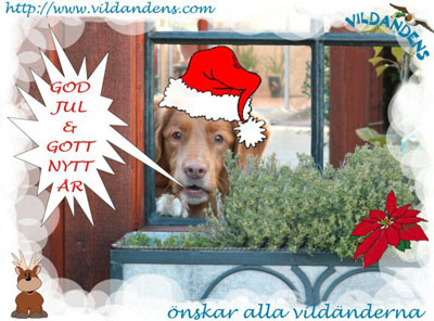 God Jul, Anette