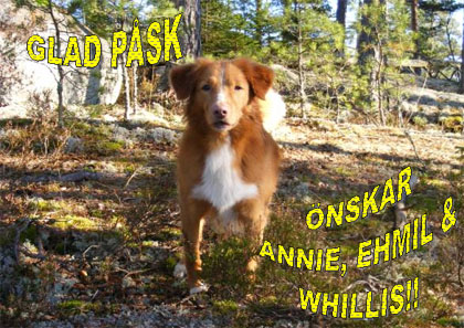 Glad psk, Annie!