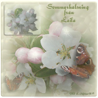 Skn sommar, Laila!
